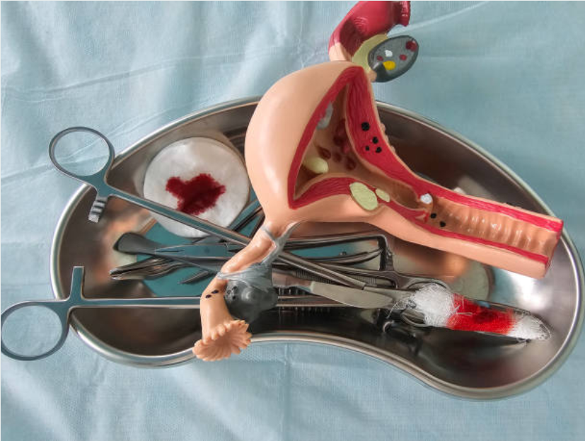 33fc494252b3178690f54e83646bb809_1771909794_5137.png 33fc494252b3178690f54e83646bb809_1771909794_5137.png