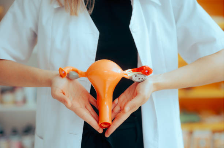 ebb3985e6bcacc62f314f2a1f2689fb5_1774408287_865.png ebb3985e6bcacc62f314f2a1f2689fb5_1774408287_865.png