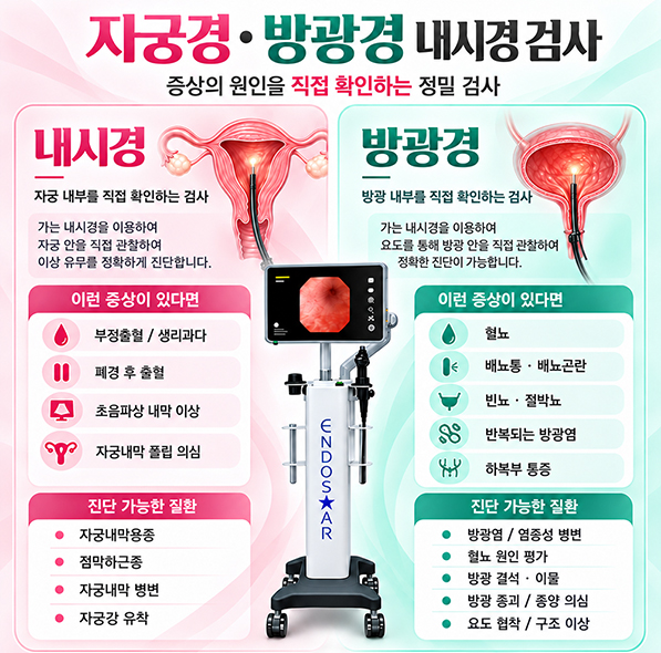 내시경 검사